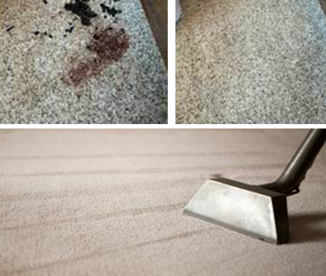 Carpet Cleaner Cypress Carpet Cleaners You Can Trust